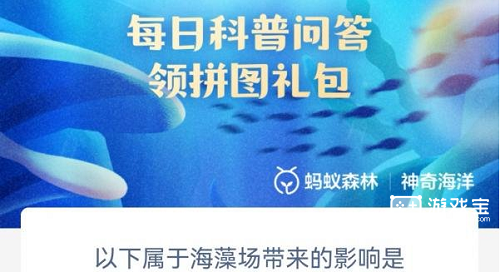 海藻场：默默守护海洋生态的绿色卫士