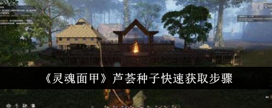 灵魂面甲芦荟种子快速获取全攻略：技能+营地BOSS效率最大化心得