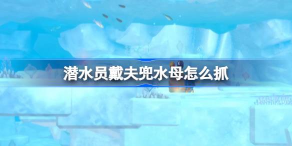 潜水员戴夫兜水母抓捕全攻略