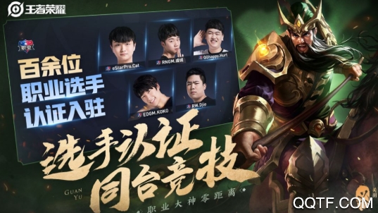 王者荣耀职业选手认证系统深度解析：标志识别与匹配攻略