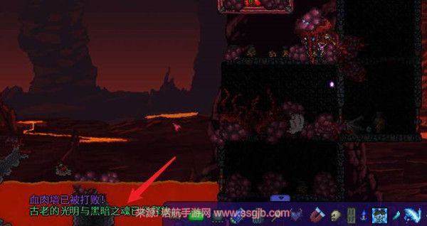 泰拉瑞亚水月怪刷新全攻略：从召唤肉山到日食触发，掉落物价值解析