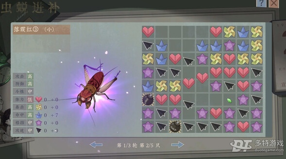 沉默的蟋蟀如何挑选优质蛐蛐：外形与实战双重考察技巧