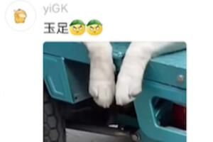 玉足梗是什么玩意儿：从赞美脚美到谐音梗的流行