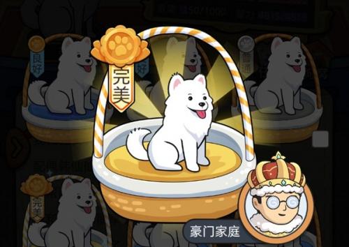 狗生模拟器藏獒边牧解锁全攻略