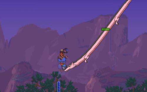 泰拉瑞亚肉前坐骑那些事儿