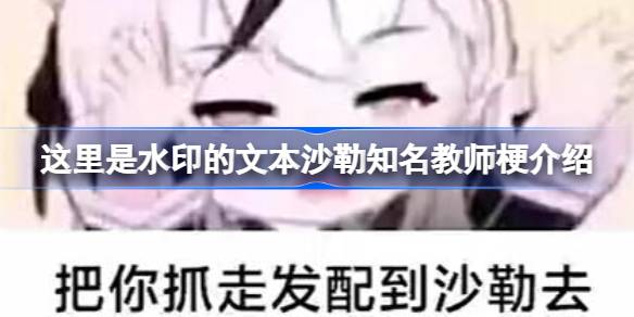 沙勒知名教师是什么意思？