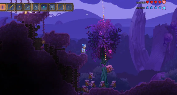 泰拉瑞亚翅膀怎么选才最合适