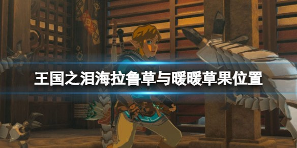 王国之泪暖暖草果采摘地点全攻略