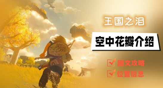 王国之泪空中花瓣的探索与获取指南