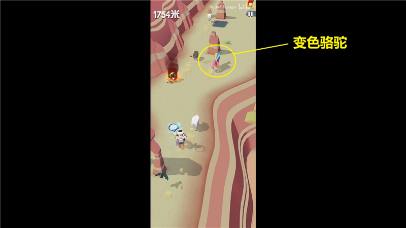 疯狂动物园澳洲特殊动物捕捉攻略