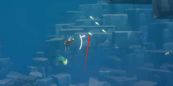 潜水员戴夫黄背若梅鲷的踪迹与捕获之道