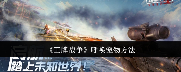 王牌战争如何召唤宠物