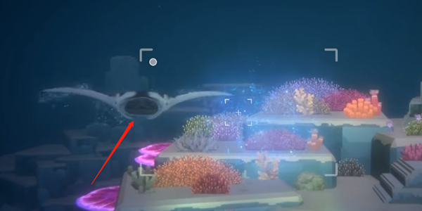 潜水员戴夫抓鬼蝠鳐全攻略