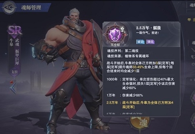 牛皋魂环怎么选：全面解析与搭配推荐