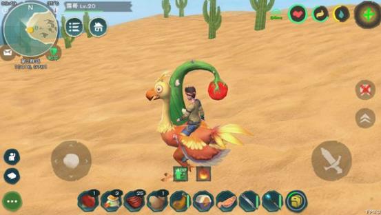 火龙饲料与龙涎草的搜寻之旅