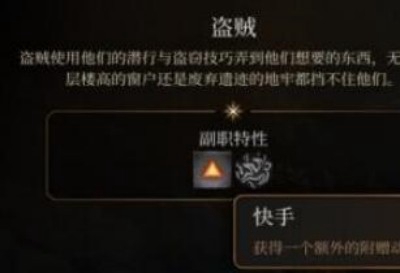 盗贼：博德之门3游荡者子职业的最佳选择
