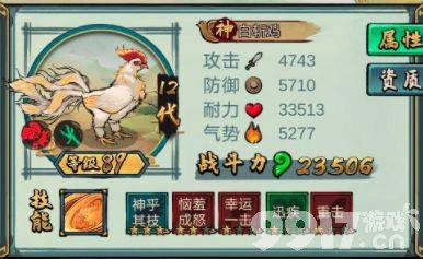 疯狂斗鸡场：全面提升斗鸡战斗力的策略与进化指南