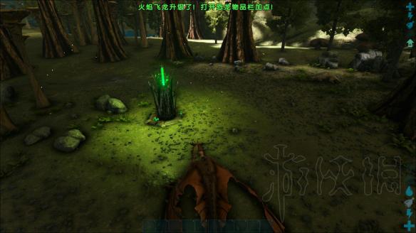 畸变地图生存全攻略