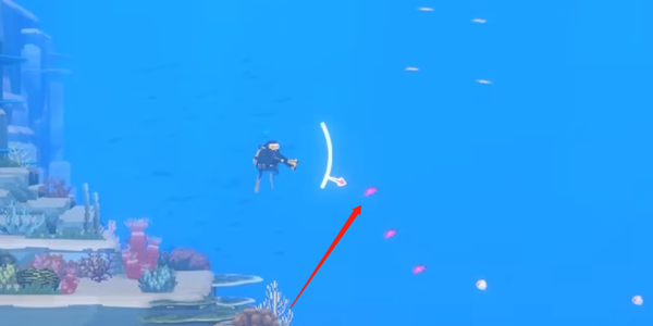 潜水员戴夫金拟花鮨怎么抓