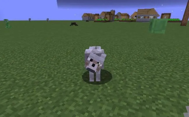 我的世界手机版狼怎么驯服？全方位驯狼FAQ指南