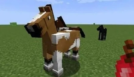 我的世界怎么养马？驯服繁殖全流程攻略解析