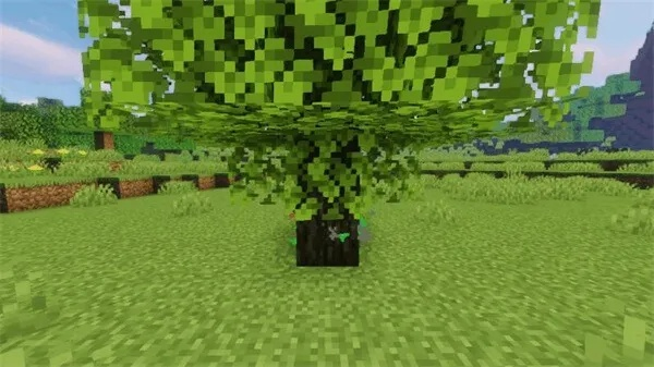 我的世界树怎么做？从自动树场到绝美造景全解析