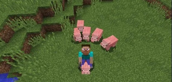 《我的世界》怎么骑猪牛羊？常见问题与操作指南一览