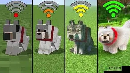 我的世界狗怎么驯服？从驯养到战斗全方位指南