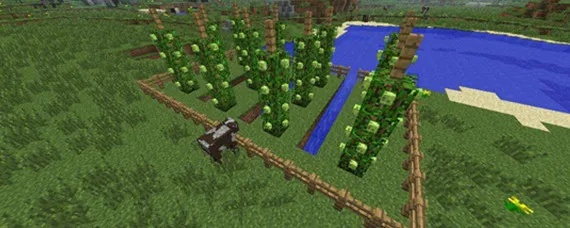 《我的世界》啤酒花怎么种？啤酒花种植全攻略