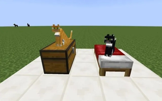 我的世界猫怎么回血？5种猫咪恢复生命值方法详解