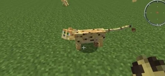 我的世界怎么驯服豹猫？完整驯服流程与技巧解析