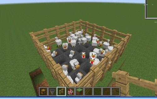 我的世界怎么孵化鸡蛋？鸡蛋孵化全指南与高效养殖攻略