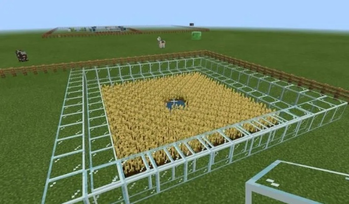 我的世界小麦怎么收？掌握这些技巧让农田效率翻倍