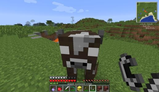 《我的世界》牛怎么抓？从寻找到驯养的全流程解析