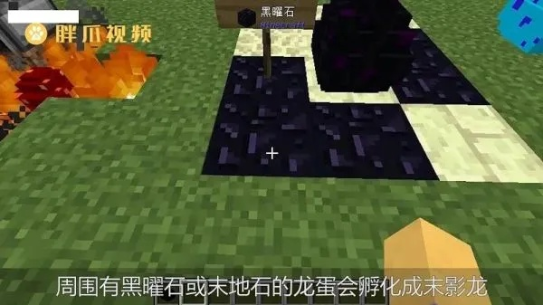 我的世界怎么造龙蛋？从获取到孵化的完整攻略