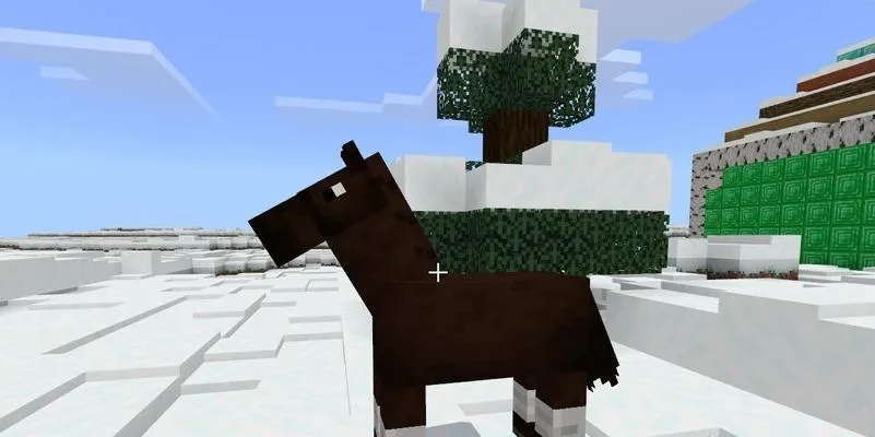 我的世界马怎么得？全方位获取途径与驯养秘籍