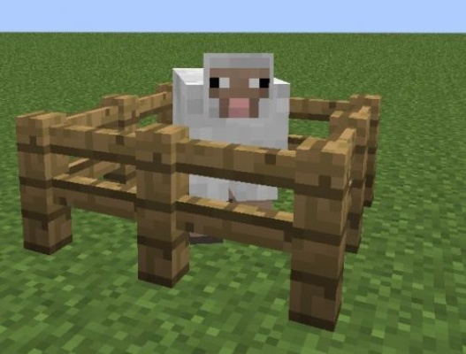 《我的世界》动物怎么繁殖？常见动物繁殖方法大全