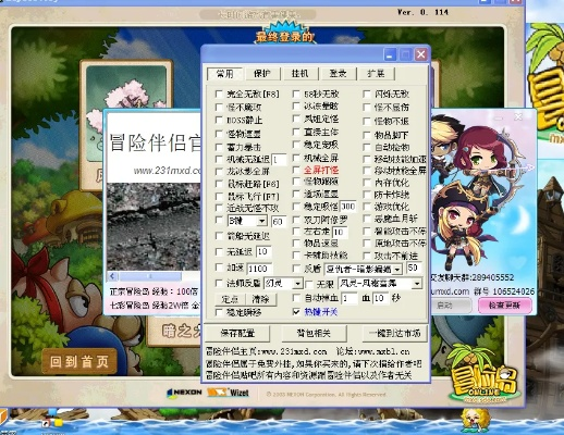 冒险岛伴侣怎么启动？完整操作流程与功能设置指南