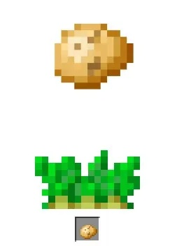 我的世界马铃薯怎么种？从获取到丰收的完整种植指南