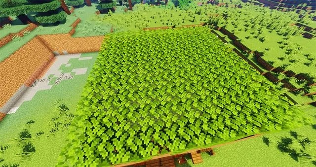 我的世界草皮怎么养？从基础培育到创意美化的完整指南