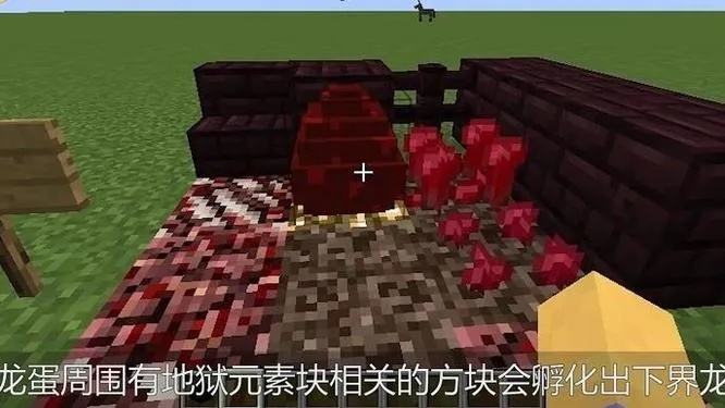 我的世界怎么用龙蛋？龙蛋获取、孵化与驯养全攻略