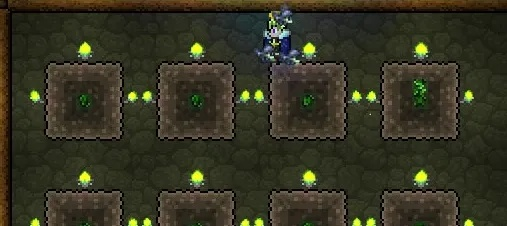 泰拉瑞亚叶绿矿怎么种？地下丛林矿物农场终极攻略