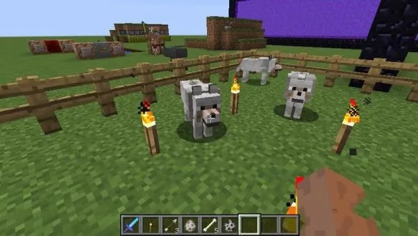 我的世界怎么找狼？全面解析狼群栖息地与驯养秘诀