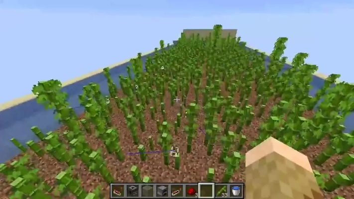 我的世界竹笋怎么获取与种植？竹子种植全攻略详解