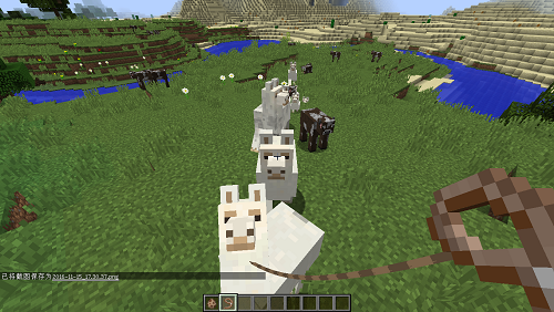 我的世界怎么让羊驼移动？全面解析驯服控制与队伍组建技巧