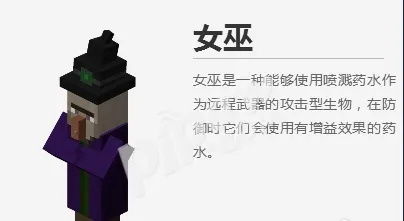 我的世界女巫怎么训服？全方位驯服攻略与生物特性解析
