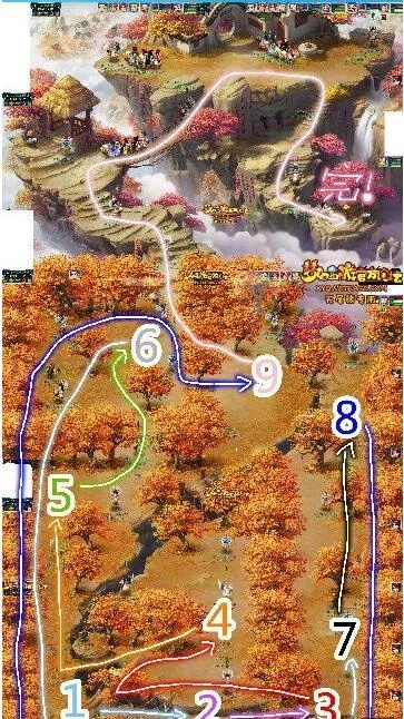 梦幻西游鬼枫林怎么走？全方位图文路线详解助你轻松通关