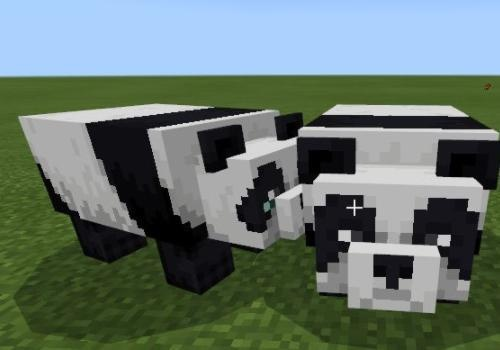 我的世界熊猫怎么驯服？完整攻略从寻找到驯养