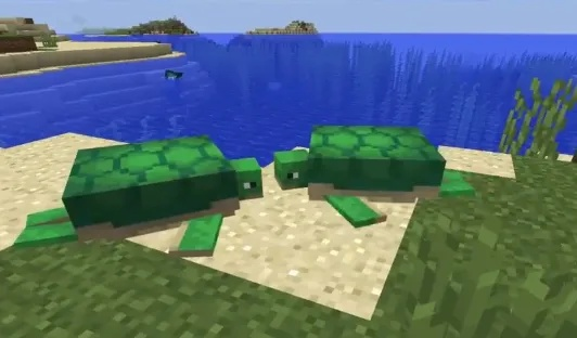 我的世界海龟蛋怎么孵化？海龟繁殖全流程详解与效率优化指南