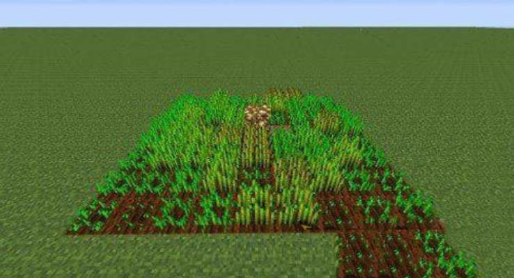 我的世界怎么种小麦？从种子到丰收的完整指南